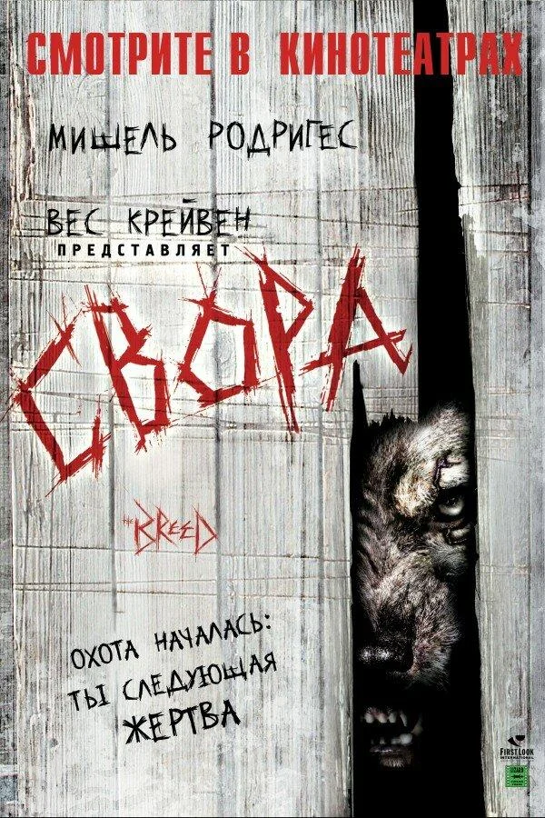 Свора смотреть онлайн