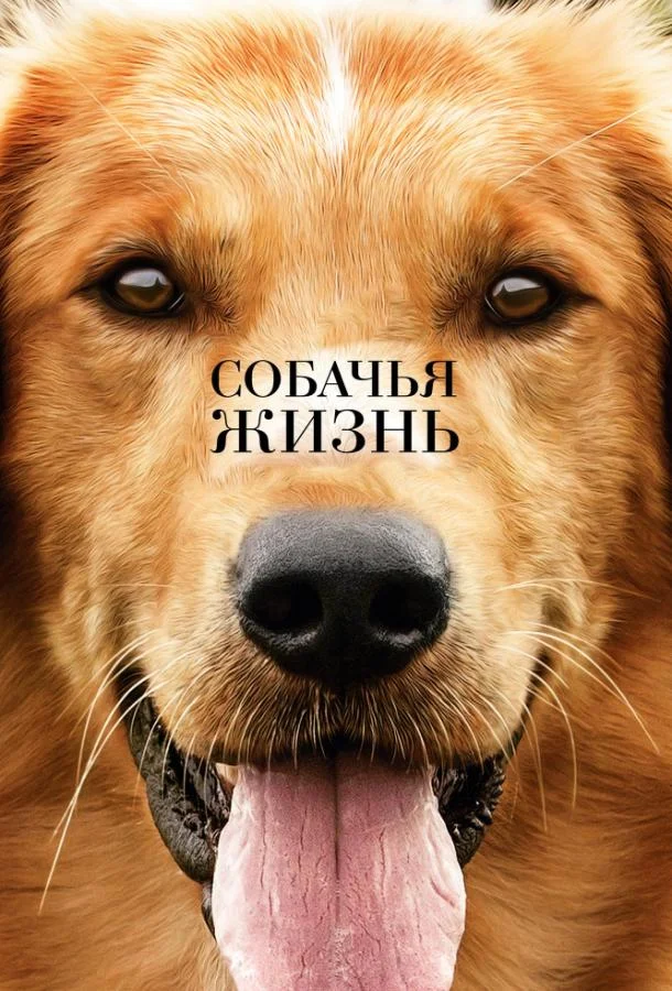 Собачья жизнь смотреть онлайн